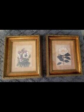 Vintage Shelley Hely Gold Framed Prints 'Pansy' and 'Camellia' Artwork RARE